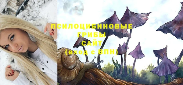 a pvp Алексин